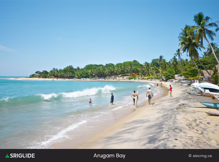 Arugam Bay