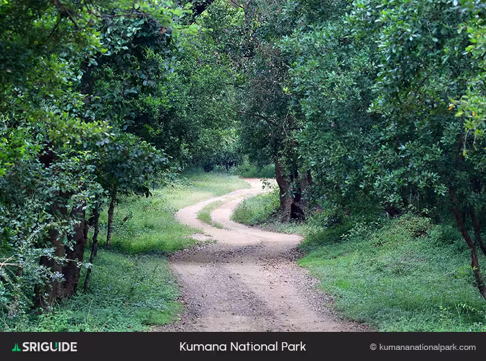 Kumana National Park